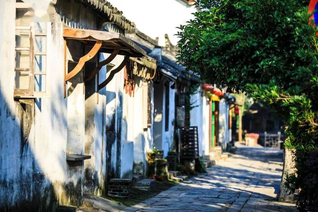 沙漠前行